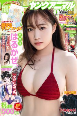 日本保险销售员3