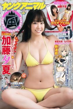 张作霖电视剧
